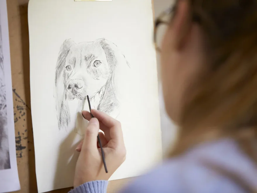 Técnicas realistas de desenhos de animais